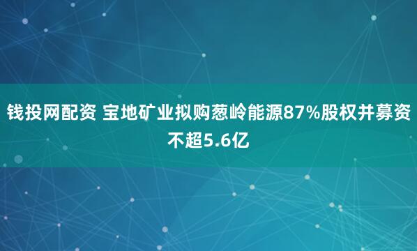 钱投网配资 宝地矿业拟购葱岭能源87%股权并募资不超5.6亿