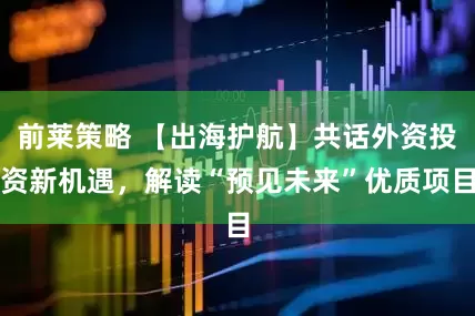前莱策略 【出海护航】共话外资投资新机遇，解读“预见未来”优质项目